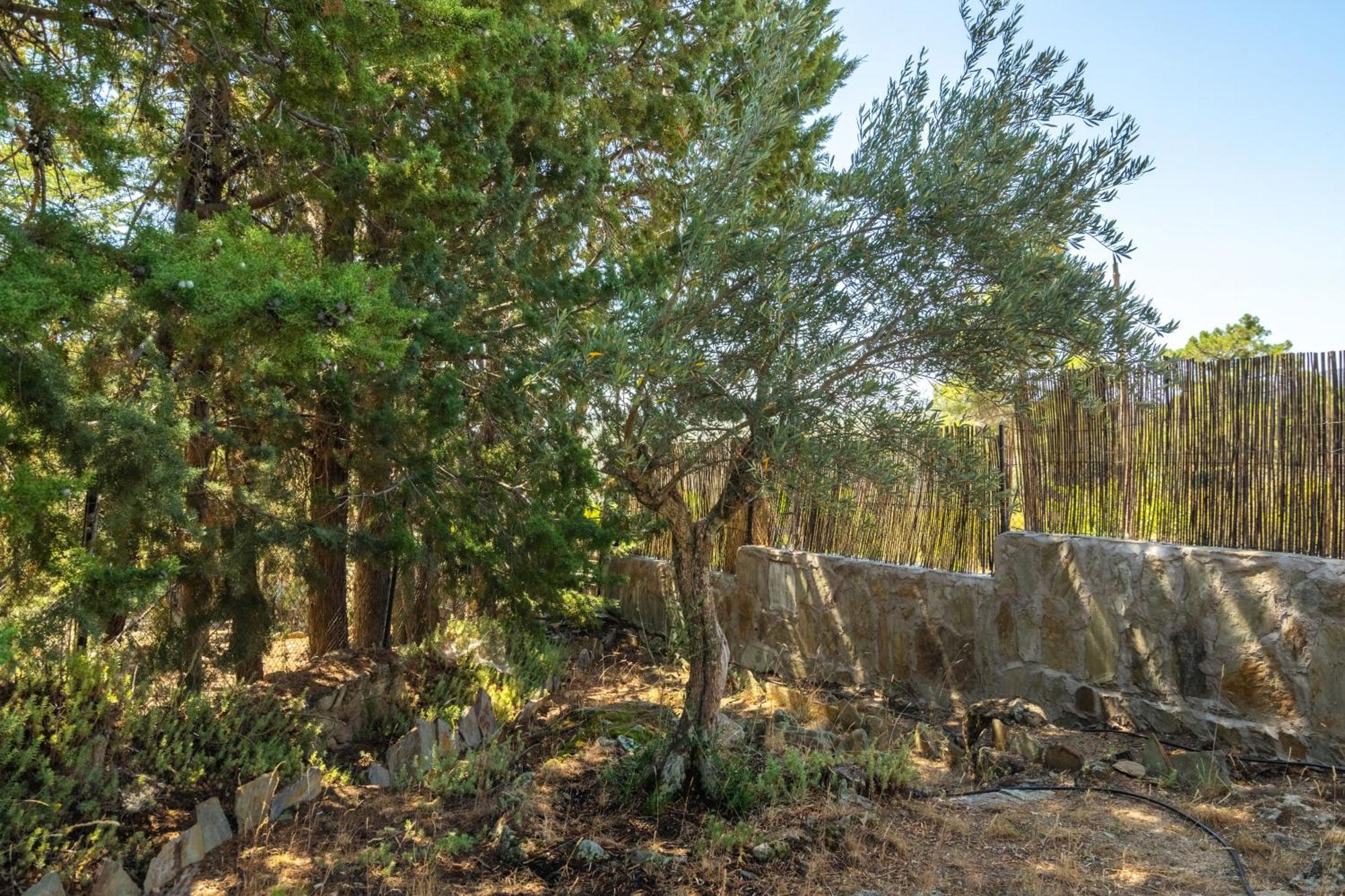 Casa Rural Los Olivos De Robledo De Chavela La Estacion Exteriér fotografie